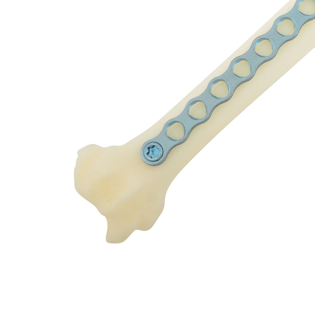 Lige: 20 huller, 79,5x3,5x1,0